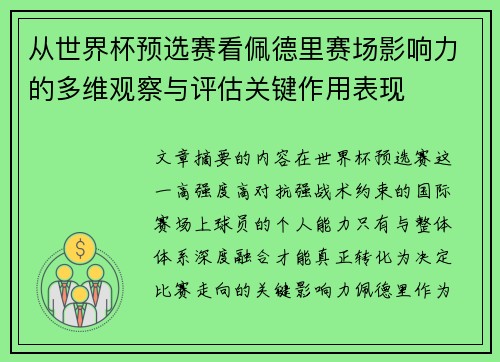 从世界杯预选赛看佩德里赛场影响力的多维观察与评估关键作用表现