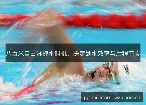 八百米自由泳抓水时机,决定划水效率与后程节奏 八百米自由泳抓水时机,决定划水效率与后程节奏